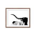 Picture of Max, the Bull _GroupedProduct_Rectangle_Landscape_Photography _GroupedProduct_Rectangle_Landscape_Framed_Matted_