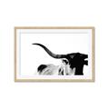 Picture of Max, the Bull _GroupedProduct_Rectangle_Landscape_Photography _GroupedProduct_Rectangle_Landscape_Framed_Matted_