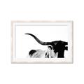 Picture of Max, the Bull _GroupedProduct_Rectangle_Landscape_Photography _GroupedProduct_Rectangle_Landscape_Framed_Matted_