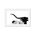 Picture of Max, the Bull _GroupedProduct_Rectangle_Landscape_Photography _GroupedProduct_Rectangle_Landscape_Framed_Matted_