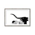 Picture of Max, the Bull _GroupedProduct_Rectangle_Landscape_Photography _GroupedProduct_Rectangle_Landscape_Framed_Matted_