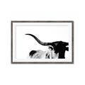Picture of Max, the Bull _GroupedProduct_Rectangle_Landscape_Photography _GroupedProduct_Rectangle_Landscape_Framed_Matted_