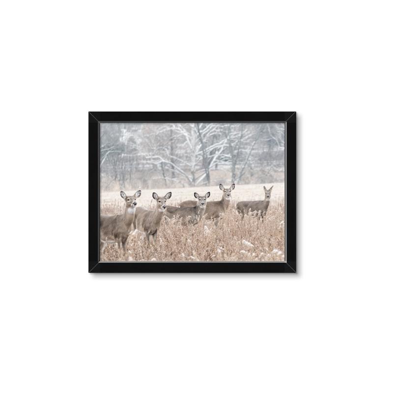 Picture of Oh Deer  _GroupedProduct_Rectangle_Landscape_Photography _GroupedProduct_Rectangle_Landscape_Framed_Matted_