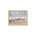 Picture of Oh Deer  _GroupedProduct_Rectangle_Landscape_Photography _GroupedProduct_Rectangle_Landscape_Framed_Matted_