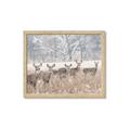 Picture of Oh Deer  _GroupedProduct_Rectangle_Landscape_Photography _GroupedProduct_Rectangle_Landscape_Framed_Matted_