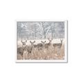 Picture of Oh Deer  _GroupedProduct_Rectangle_Landscape_Photography _GroupedProduct_Rectangle_Landscape_Framed_Matted_