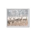 Picture of Oh Deer  _GroupedProduct_Rectangle_Landscape_Photography _GroupedProduct_Rectangle_Landscape_Framed_Matted_