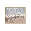 Picture of Oh Deer  _GroupedProduct_Rectangle_Landscape_Photography _GroupedProduct_Rectangle_Landscape_Framed_Matted_