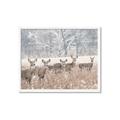 Picture of Oh Deer  _GroupedProduct_Rectangle_Landscape_Photography _GroupedProduct_Rectangle_Landscape_Framed_Matted_