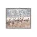 Picture of Oh Deer  _GroupedProduct_Rectangle_Landscape_Photography _GroupedProduct_Rectangle_Landscape_Framed_Matted_