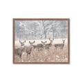 Picture of Oh Deer  _GroupedProduct_Rectangle_Landscape_Photography _GroupedProduct_Rectangle_Landscape_Framed_Matted_