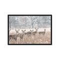Picture of Oh Deer  _GroupedProduct_Rectangle_Landscape_Photography _GroupedProduct_Rectangle_Landscape_Framed_Matted_