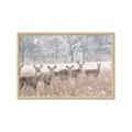Picture of Oh Deer  _GroupedProduct_Rectangle_Landscape_Photography _GroupedProduct_Rectangle_Landscape_Framed_Matted_