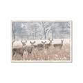 Picture of Oh Deer  _GroupedProduct_Rectangle_Landscape_Photography _GroupedProduct_Rectangle_Landscape_Framed_Matted_