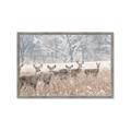 Picture of Oh Deer  _GroupedProduct_Rectangle_Landscape_Photography _GroupedProduct_Rectangle_Landscape_Framed_Matted_