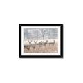 Picture of Oh Deer  _GroupedProduct_Rectangle_Landscape_Photography _GroupedProduct_Rectangle_Landscape_Framed_Matted_