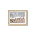 Picture of Oh Deer  _GroupedProduct_Rectangle_Landscape_Photography _GroupedProduct_Rectangle_Landscape_Framed_Matted_