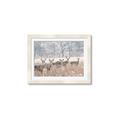 Picture of Oh Deer  _GroupedProduct_Rectangle_Landscape_Photography _GroupedProduct_Rectangle_Landscape_Framed_Matted_