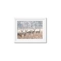Picture of Oh Deer  _GroupedProduct_Rectangle_Landscape_Photography _GroupedProduct_Rectangle_Landscape_Framed_Matted_