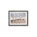Picture of Oh Deer  _GroupedProduct_Rectangle_Landscape_Photography _GroupedProduct_Rectangle_Landscape_Framed_Matted_