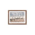 Picture of Oh Deer  _GroupedProduct_Rectangle_Landscape_Photography _GroupedProduct_Rectangle_Landscape_Framed_Matted_