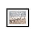 Picture of Oh Deer  _GroupedProduct_Rectangle_Landscape_Photography _GroupedProduct_Rectangle_Landscape_Framed_Matted_