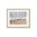 Picture of Oh Deer  _GroupedProduct_Rectangle_Landscape_Photography _GroupedProduct_Rectangle_Landscape_Framed_Matted_