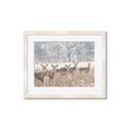 Picture of Oh Deer  _GroupedProduct_Rectangle_Landscape_Photography _GroupedProduct_Rectangle_Landscape_Framed_Matted_
