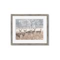 Picture of Oh Deer  _GroupedProduct_Rectangle_Landscape_Photography _GroupedProduct_Rectangle_Landscape_Framed_Matted_