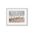 Picture of Oh Deer  _GroupedProduct_Rectangle_Landscape_Photography _GroupedProduct_Rectangle_Landscape_Framed_Matted_