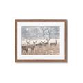 Picture of Oh Deer  _GroupedProduct_Rectangle_Landscape_Photography _GroupedProduct_Rectangle_Landscape_Framed_Matted_