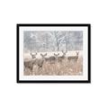 Picture of Oh Deer  _GroupedProduct_Rectangle_Landscape_Photography _GroupedProduct_Rectangle_Landscape_Framed_Matted_