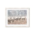 Picture of Oh Deer  _GroupedProduct_Rectangle_Landscape_Photography _GroupedProduct_Rectangle_Landscape_Framed_Matted_