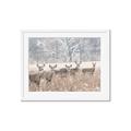 Picture of Oh Deer  _GroupedProduct_Rectangle_Landscape_Photography _GroupedProduct_Rectangle_Landscape_Framed_Matted_