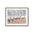 Picture of Oh Deer  _GroupedProduct_Rectangle_Landscape_Photography _GroupedProduct_Rectangle_Landscape_Framed_Matted_