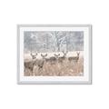 Picture of Oh Deer  _GroupedProduct_Rectangle_Landscape_Photography _GroupedProduct_Rectangle_Landscape_Framed_Matted_