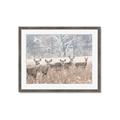 Picture of Oh Deer  _GroupedProduct_Rectangle_Landscape_Photography _GroupedProduct_Rectangle_Landscape_Framed_Matted_