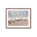 Picture of Oh Deer  _GroupedProduct_Rectangle_Landscape_Photography _GroupedProduct_Rectangle_Landscape_Framed_Matted_