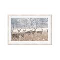 Picture of Oh Deer  _GroupedProduct_Rectangle_Landscape_Photography _GroupedProduct_Rectangle_Landscape_Framed_Matted_