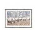 Picture of Oh Deer  _GroupedProduct_Rectangle_Landscape_Photography _GroupedProduct_Rectangle_Landscape_Framed_Matted_