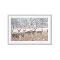 Picture of Oh Deer  _GroupedProduct_Rectangle_Landscape_Photography _GroupedProduct_Rectangle_Landscape_Framed_Matted_