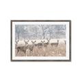 Picture of Oh Deer  _GroupedProduct_Rectangle_Landscape_Photography _GroupedProduct_Rectangle_Landscape_Framed_Matted_