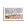 Picture of Oh Deer  _GroupedProduct_Rectangle_Landscape_Photography _GroupedProduct_Rectangle_Landscape_Framed_Matted_
