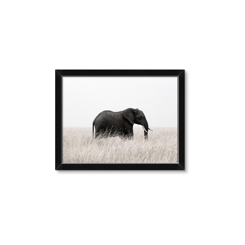 Picture of Out of Africa  _GroupedProduct_Rectangle_Landscape_Photography _GroupedProduct_Rectangle_Landscape_Framed_Matted_