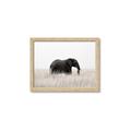 Picture of Out of Africa  _GroupedProduct_Rectangle_Landscape_Photography _GroupedProduct_Rectangle_Landscape_Framed_Matted_