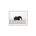 Picture of Out of Africa  _GroupedProduct_Rectangle_Landscape_Photography _GroupedProduct_Rectangle_Landscape_Framed_Matted_
