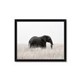Picture of Out of Africa  _GroupedProduct_Rectangle_Landscape_Photography _GroupedProduct_Rectangle_Landscape_Framed_Matted_