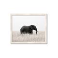 Picture of Out of Africa  _GroupedProduct_Rectangle_Landscape_Photography _GroupedProduct_Rectangle_Landscape_Framed_Matted_