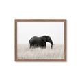 Picture of Out of Africa  _GroupedProduct_Rectangle_Landscape_Photography _GroupedProduct_Rectangle_Landscape_Framed_Matted_