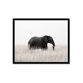 Picture of Out of Africa  _GroupedProduct_Rectangle_Landscape_Photography _GroupedProduct_Rectangle_Landscape_Framed_Matted_